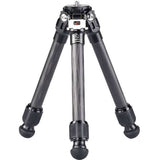 Sunwayfoto Macro Tripod Carbon T16C20N II (T16C20NII)