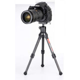 Sunwayfoto Ball Head XB-25 - image 4 of 5