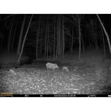Seissiger Mini-Cam - image 5 of 5