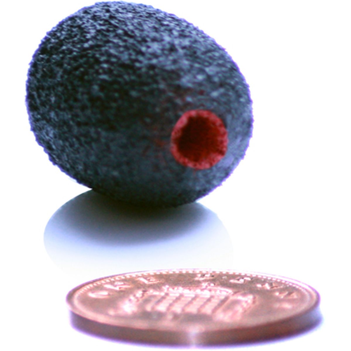 Rycote Neoprene Coated Lavalier Foam