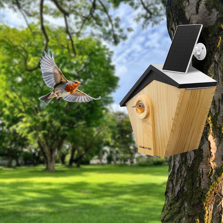 Camouflage EZ Birdbox Bird Nest w/ Built-In AI Camera - image 4 of 5