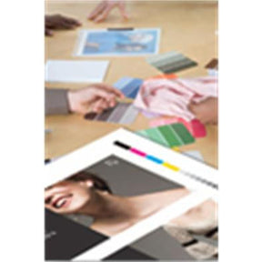 Epson S042002 Semimatte Proofing Paper White Inktjet 256G/M2