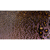 NiSi Horizon ND 1.2 100150mm