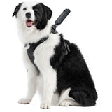 Insta360 Pet Harness Mount Size L