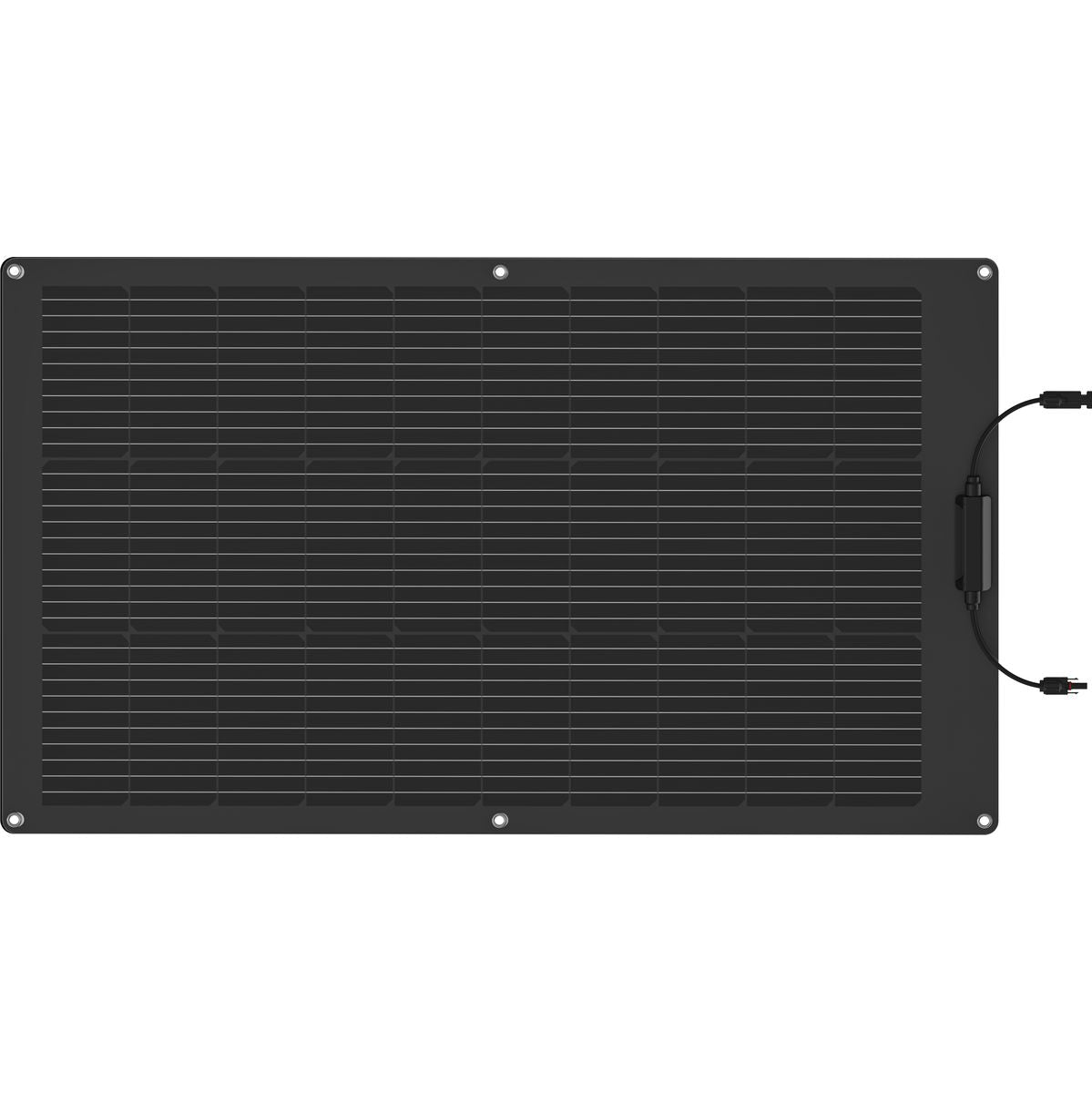 EcoFlow 100W Solar Panel (Flexible)