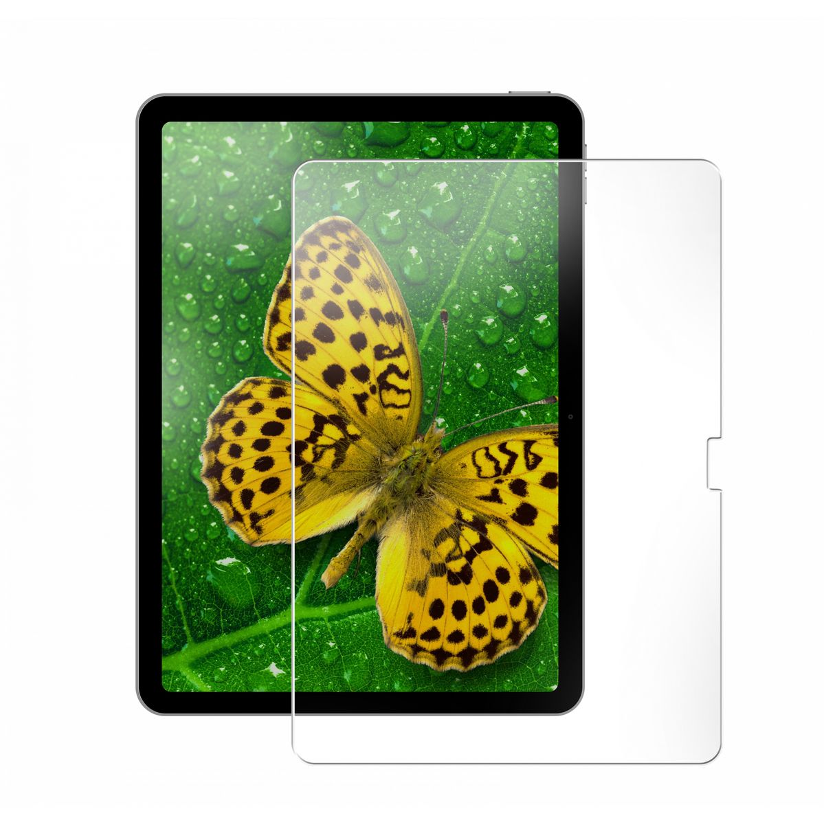 STM Goods STM Eco Glass Screen Protector (iPad 11TH/10TH Gen)