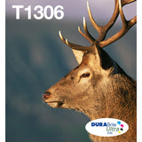 Epson T1306 Multipack 3-COLOURS Easymail