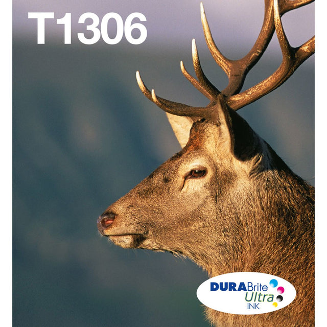 Epson T1306 Multipack 3-COLOURS Easymail