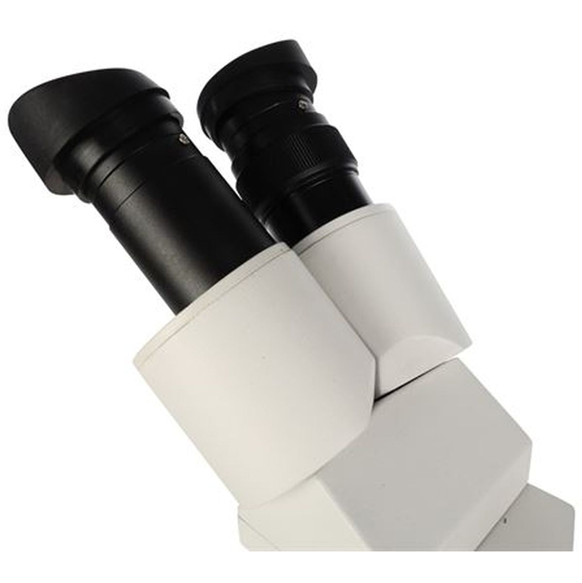 Byomic Stereo Microscope BYO-ST3LED - image 4 of 5