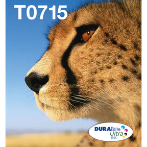 Epson Easymail MP Cheetah DuraBrite Ultra CMYK