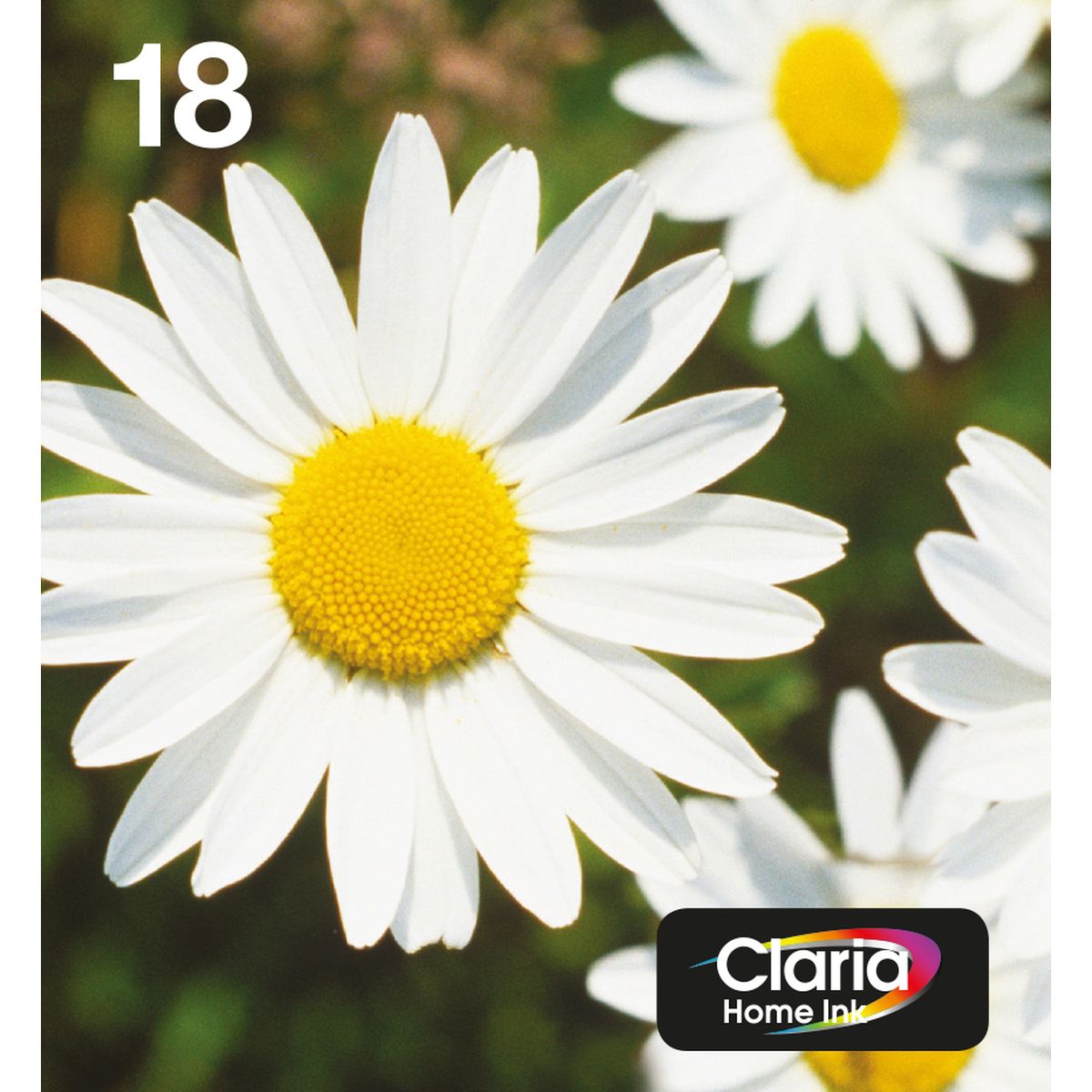 Epson T18064511 Easymail MP Daisy Claria Home CMYK
