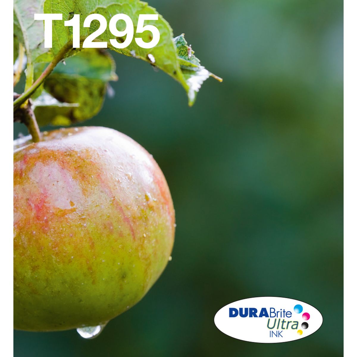 Epson T129 DuraBrite Ultra Ink Easymail Multipack