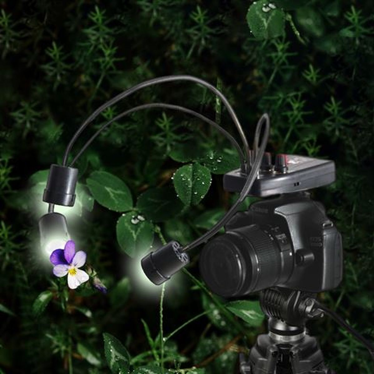 Falcon Eyes Macro LED Lamp DV-3B On Battery - image 4 of 4