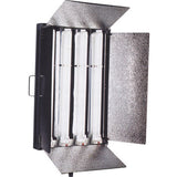 Falcon Eyes Day Light Lamp DFL-554 4 X 55W