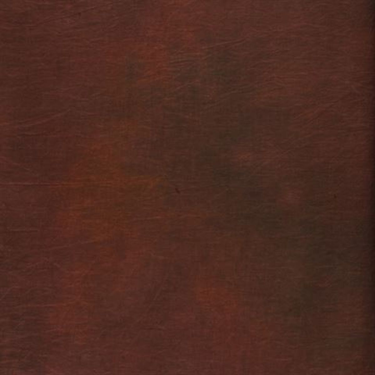 Falcon Eyes Background Cloth S112 2.9x7 M - image 4 of 5
