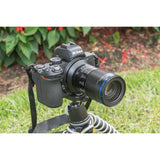 Laowa Venus 65mm f/2.8 2X Ultra-Macro Lens - Nikon Z - image 2 of 3