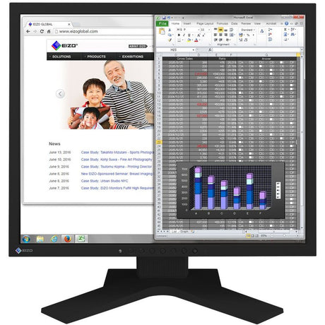 EIZO FlexScan S1934H Black