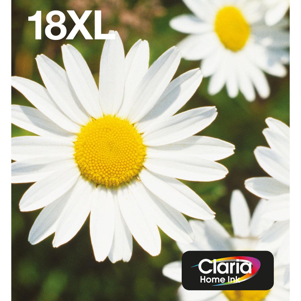 Epson 18XL Multipack 4-COLOURS Easymail C13T18164511