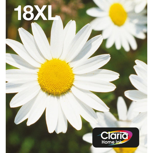 Epson 18XL Multipack 4-COLOURS Easymail C13T18164511