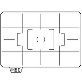 Ricoh Matglas AF Divided Matte ML-60