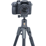 Vanguard VEO 2S 204AB Statief+monopod - image 4 of 5