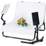 Kaiser LED Desktop Light