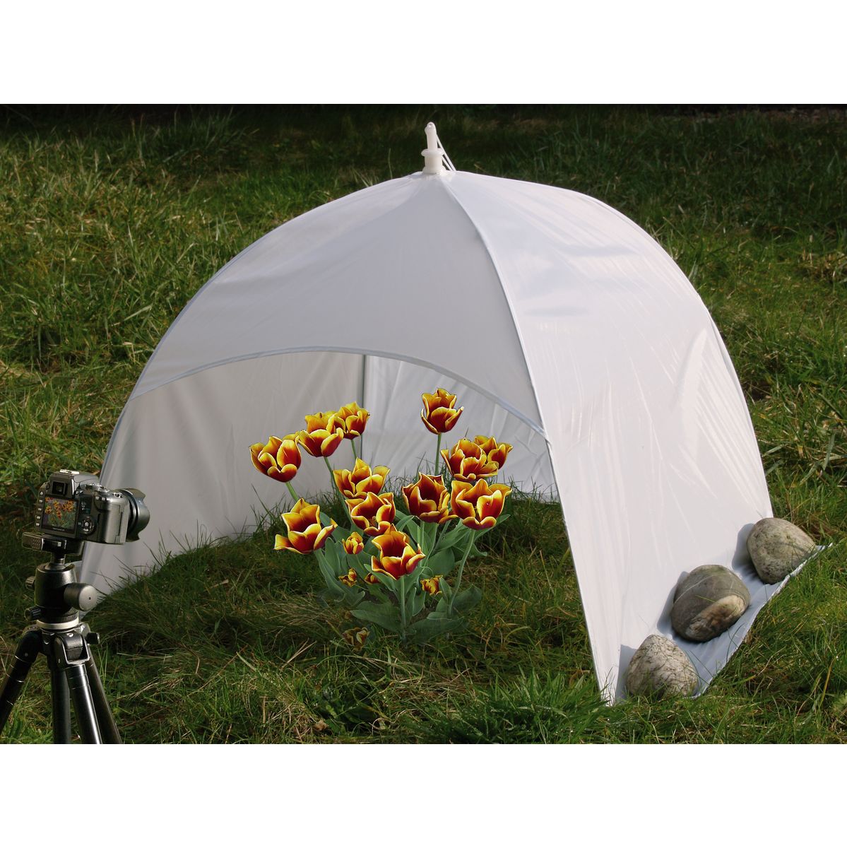 Kaiser Dome Studio 75cm - image 4 of 5