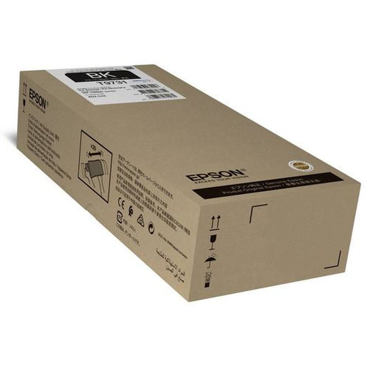 Epson Black Ink Tank Pro T973 XL