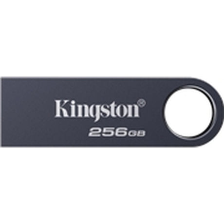 Kingston 256GB DataTraveler SE9 G3