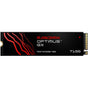 SanDisk Optimus GX 7100 NVMe SSD 500GB