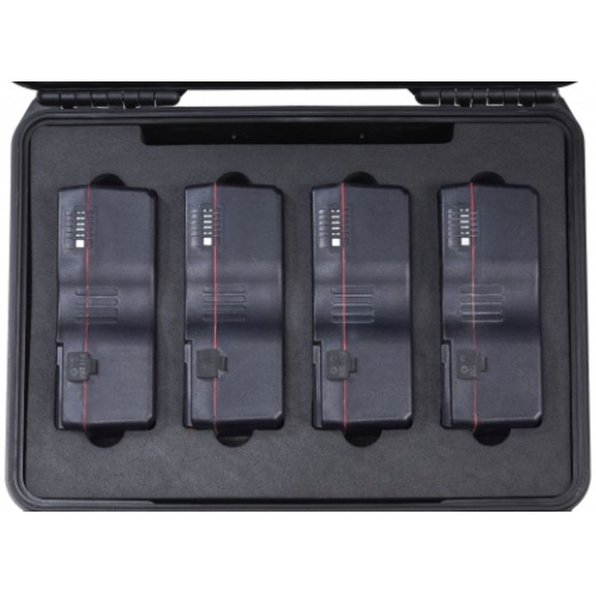 BLUESHAPE UN Certified Flight Case For 4 Batteries - image 3 of 3