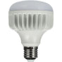 StudioKing LED Daylight Lamp 25W E27 FLED-25