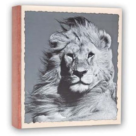 Zep WL57100 Album Slip-In 100 Photos 13x19 cm - 12 Albums - image 2 of 5