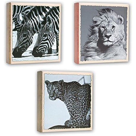 Zep WL57100 Album Slip-In 100 Photos 13x19 cm - 12 Albums - image 4 of 5