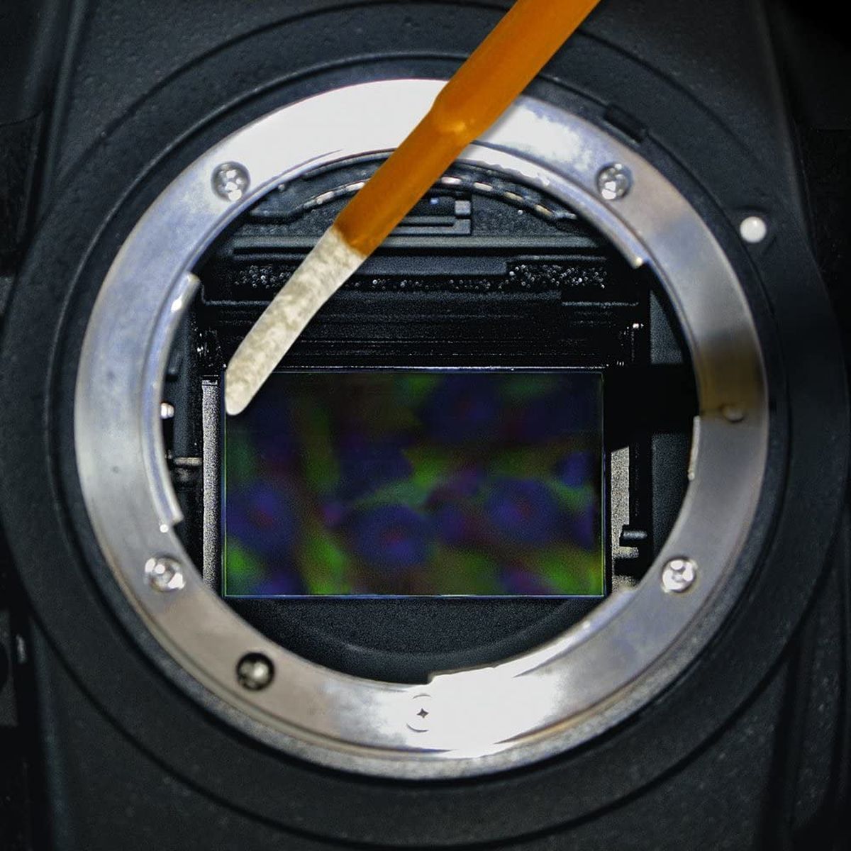 Ultra Dhap-Vswab 1.0X