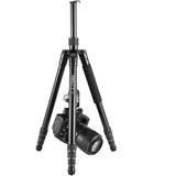 KingJoy G55C+Q20 Carbon Tripod - image 2 of 4