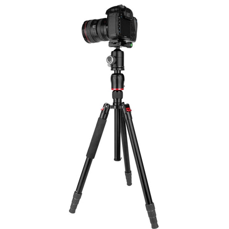 KingJoy G1008R + G1 Macrostatief - image 4 of 4