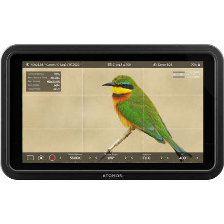 Atomos Shinobi II - image 3 of 3