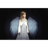 Spekular Creative Kit - Wings - image 4 of 4