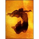 Spekular Creative Kit - Backdrops - image 4 of 5