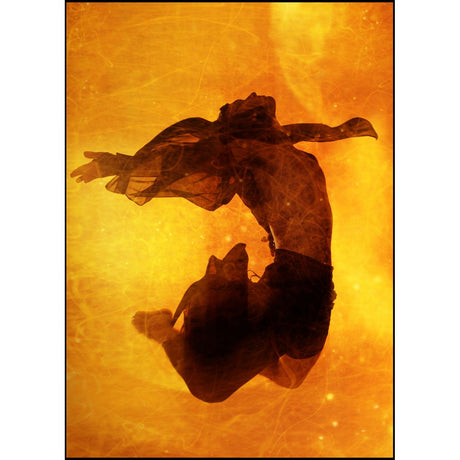 Spekular Creative Kit - Backdrops - image 4 of 5