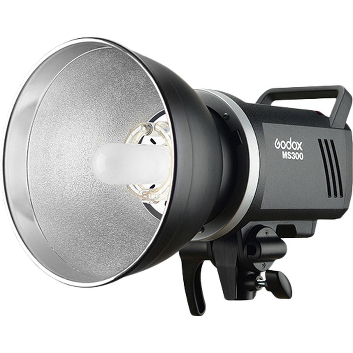 Godox MS200