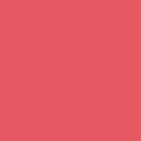 Superior Background Roll Watermelon (NR 91) 1.35m X 11m - image 2 of 5