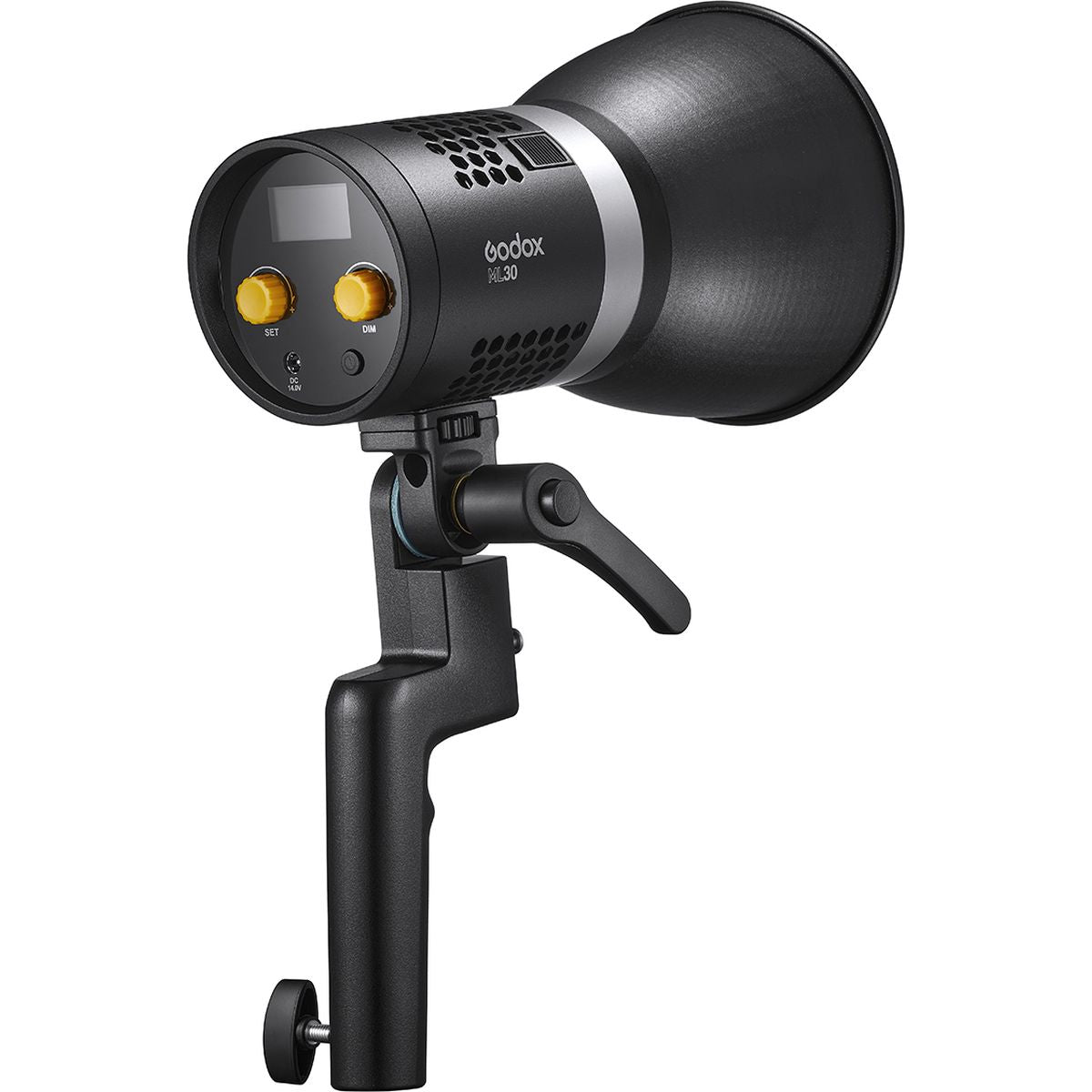 Godox ML30 Duo LED Light Kit