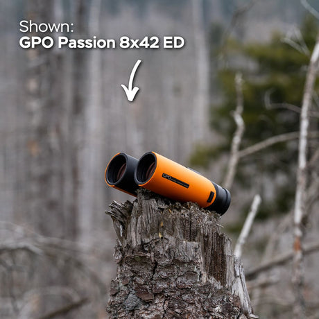 GPO Passion 10x32ED Binocular Orange - image 5 of 5