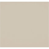 Westcott X-Drop Pro Wrinkle-Resistant Background - Melk White (2.4 X 2.4 M)