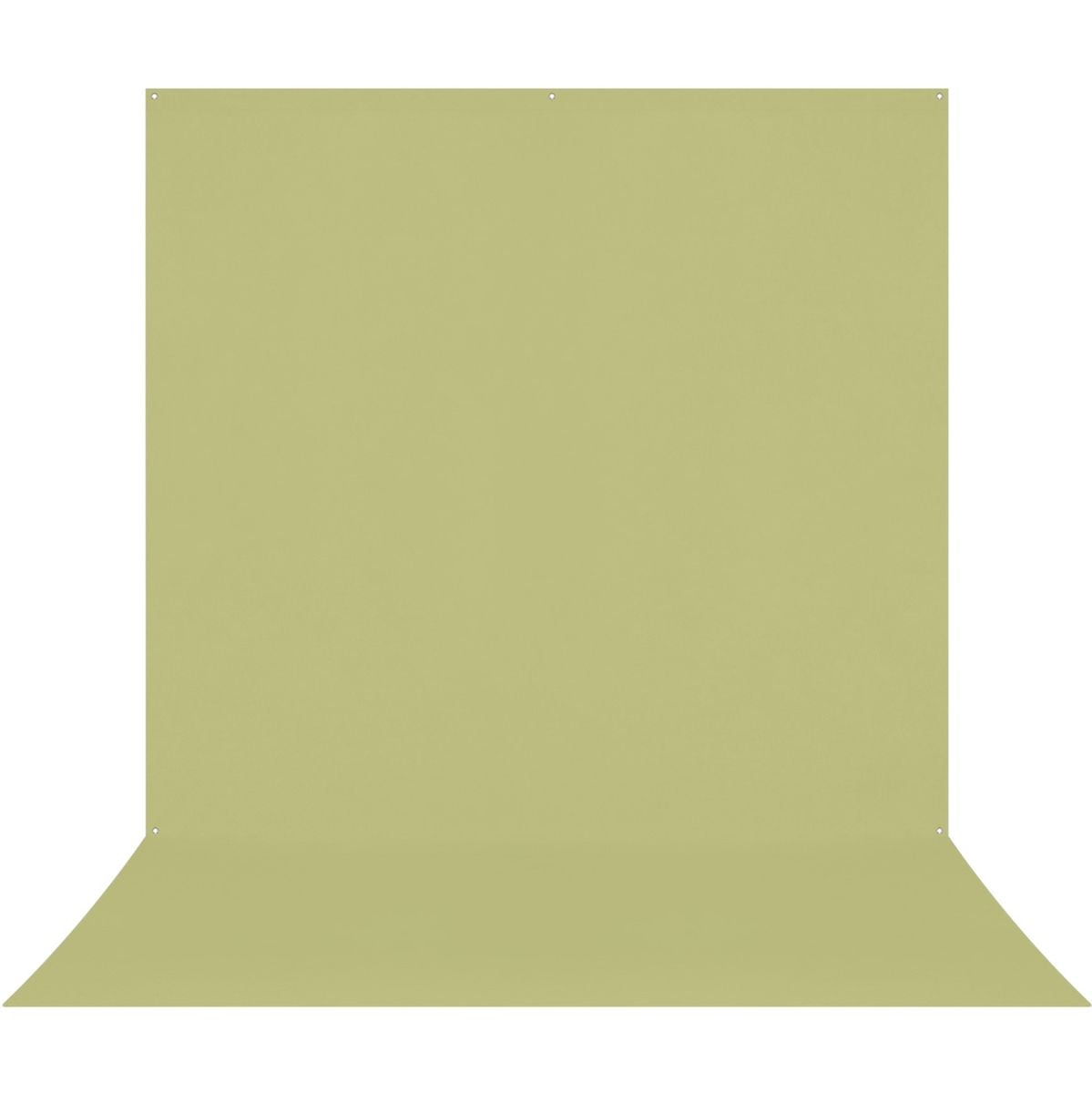 Westcott X-Drop Pro Wrinkle-Resistant Background - Mos Green Sweep (2.4 X 4 M)