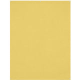 Westcott X-Drop Wrinkle-Resistant Background - Kanarie Yellow (1.5 X 2.1 M)