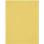 Westcott X-Drop Wrinkle-Resistant Background - Kanarie Yellow (1.5 X 2.1 M)