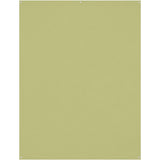 Westcott X-Drop Wrinkle-Resistant Background - Mos Green (1.5 X 2.1 M)